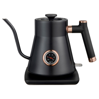 Electric Kettle 0.8L Gooseneck Pour Over Kettle for Coffee & Tea Stainless Steel Teapot