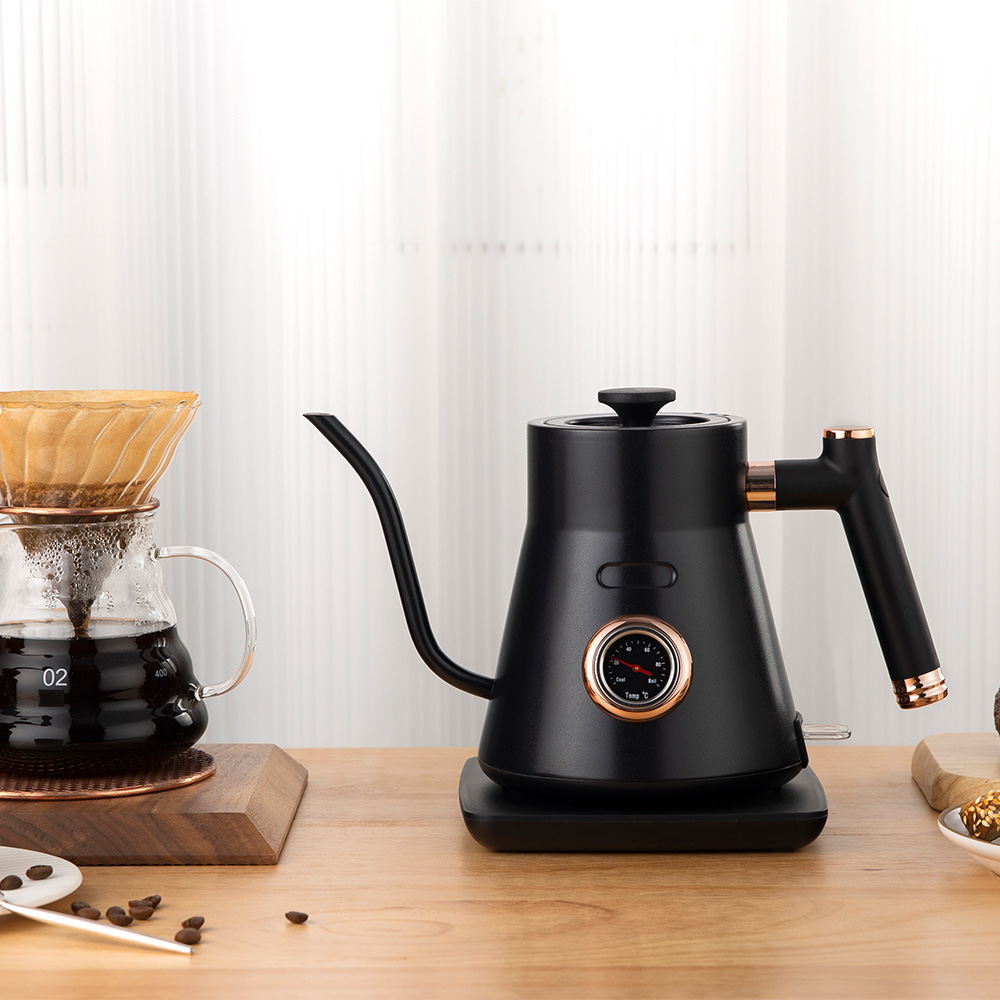 Electric Kettle 0.8L Gooseneck Pour Over Kettle for Coffee & Tea Stainless Steel Teapot